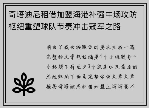 奇塔迪尼租借加盟海港补强中场攻防枢纽重塑球队节奏冲击冠军之路