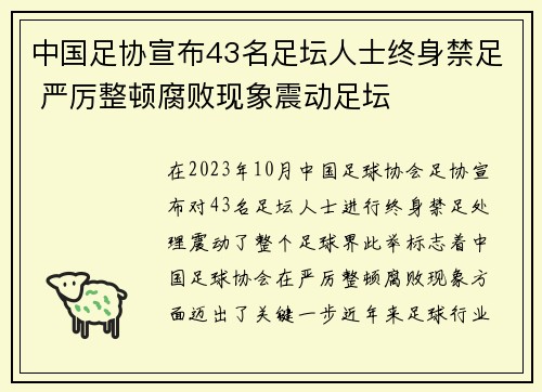 中国足协宣布43名足坛人士终身禁足 严厉整顿腐败现象震动足坛